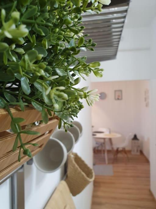 Andrea Apartman Miskolc Belvarosaban ภายนอก รูปภาพ